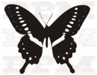 /album/fotogaleria-hmyz/hmyz-2-jpg/